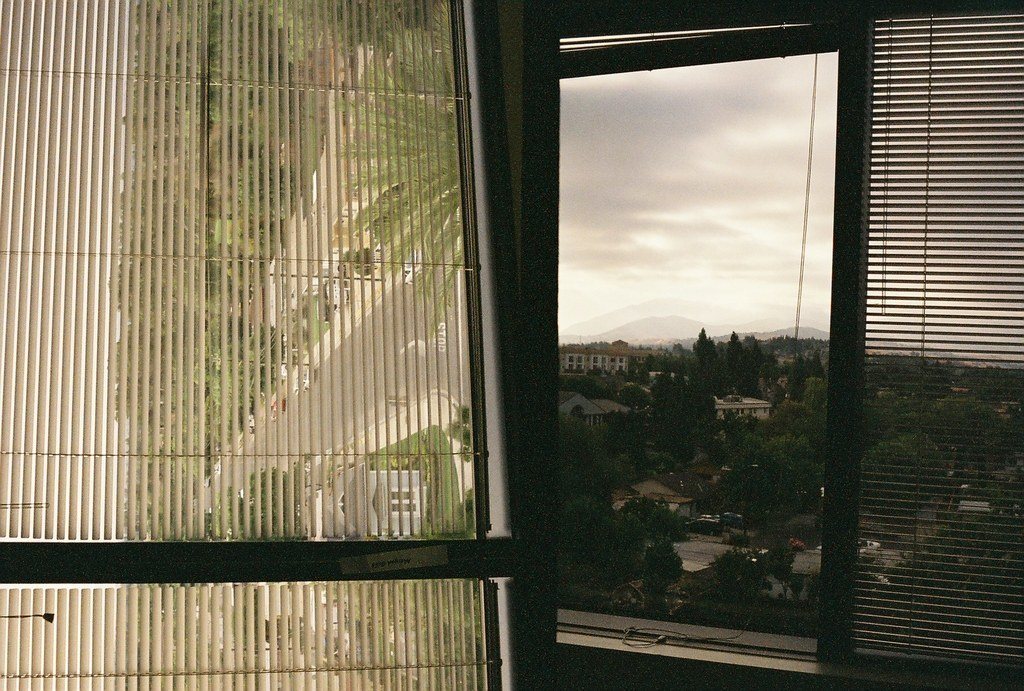 Window with slim blinds opening onto a calm green view